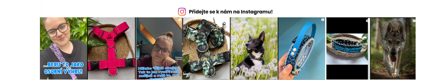 Snímek obrazovky 2025-06-20 222812